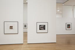Installation photo, 56 of 72