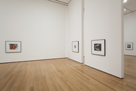 Christopher Williams: The Production Line of Happiness. Jul 27–Nov 2, 2014.