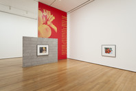 Christopher Williams: The Production Line of Happiness. Jul 27–Nov 2, 2014.