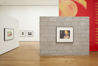 Christopher Williams: The Production Line of Happiness. Jul 27–Nov 2, 2014.