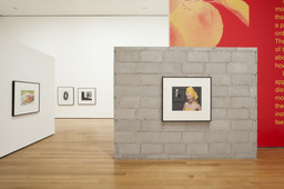 Installation photo, 60 of 72