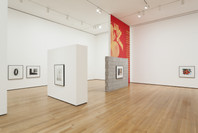 Christopher Williams: The Production Line of Happiness. Jul 27–Nov 2, 2014. 1 other work identified