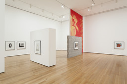 Installation photo, 61 of 72