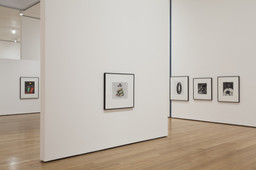 Installation photo, 64 of 72