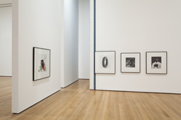 Installation photo, 65 of 72
