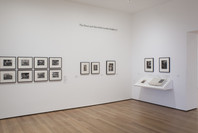 Pictures by Women: A History of Modern Photography. May 7, 2010–Apr 18, 2011. 2 other works identified