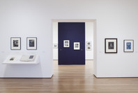Pictures by Women: A History of Modern Photography. May 7, 2010–Apr 18, 2011.