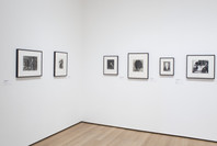 Pictures by Women: A History of Modern Photography. May 7, 2010–Apr 18, 2011. 1 other work identified