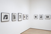 Pictures by Women: A History of Modern Photography. May 7, 2010–Apr 18, 2011. 1 other work identified