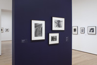 Pictures by Women: A History of Modern Photography. May 7, 2010–Apr 18, 2011. 3 other works identified
