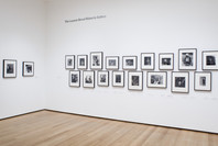Pictures by Women: A History of Modern Photography. May 7, 2010–Apr 18, 2011. 7 other works identified