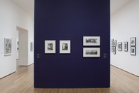 Pictures by Women: A History of Modern Photography. May 7, 2010–Apr 18, 2011. 1 other work identified