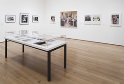 Pictures by Women: A History of Modern Photography. May 7, 2010–Apr 18, 2011. 7 other works identified