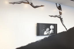 Installation photo, 4 of 16