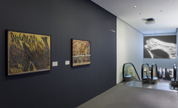 Installation photo, 8 of 16