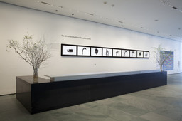 Installation photo, 86 of 86