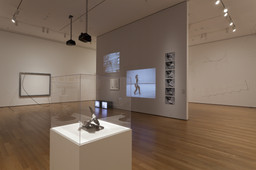 Installation photo, 48 of 86