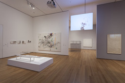 Installation photo, 69 of 86