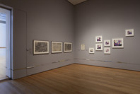 On Line: Drawing Through the Twentieth Century. Nov 21, 2010–Feb 7, 2011. 4 other works identified