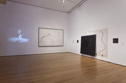 Installation photo, 79 of 86