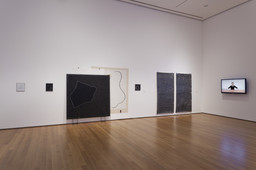Installation photo, 81 of 86