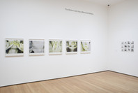 Staging Action: Performance in Photography since 1960. Jan 28–May 9, 2011. 1 other work identified
