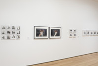 Staging Action: Performance in Photography since 1960. Jan 28–May 9, 2011.
