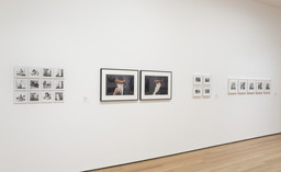 Staging Action: Performance in Photography since 1960. Jan 28–May 9, 2011. 