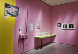 Installation photo, 9 of 15