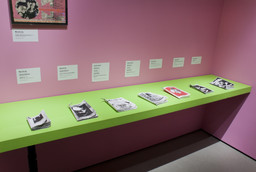 Installation photo, 10 of 15