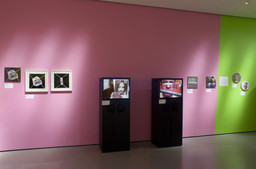 Installation photo, 11 of 15