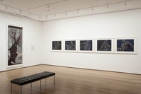 Impressions from South Africa, 1965 to Now. Mar 23–Aug 29, 2011. 5 other works identified