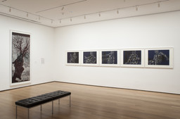 Installation photo, 6 of 20