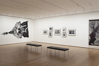 Impressions from South Africa, 1965 to Now. Mar 23–Aug 29, 2011. 8 other works identified