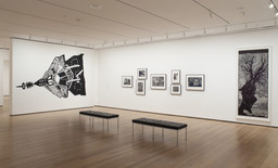 Installation photo, 7 of 20