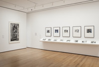 Impressions from South Africa, 1965 to Now. Mar 23–Aug 29, 2011. 6 other works identified