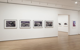 Impressions from South Africa, 1965 to Now. Mar 23–Aug 29, 2011. 6 other works identified