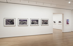 Installation photo, 10 of 20