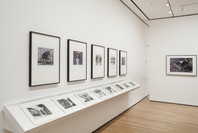 Impressions from South Africa, 1965 to Now. Mar 23–Aug 29, 2011. 6 other works identified