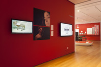 Standard Deviations: Types and Families in Contemporary Design. Mar 2, 2011–Jan 30, 2012.