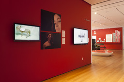 Installation photo, 16 of 21