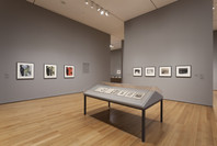 German Expressionism: The Graphic Impulse. Mar 27–Jul 11, 2011. 6 other works identified