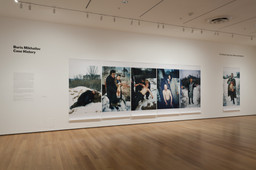 Installation photo, 2 of 8