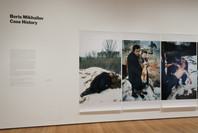 Boris Mikhailov: Case History. May 26–Sep 5, 2011.