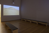 Francis Alÿs: A Story of Deception. May 8–Aug 1, 2011.