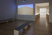 Francis Alÿs: A Story of Deception. May 8–Aug 1, 2011.