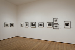 Installation photo, 19 of 34