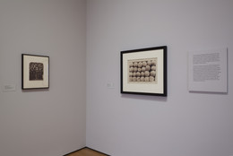 The Museum of Modern Art Archives, New York