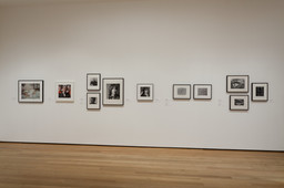 Installation photo, 20 of 34