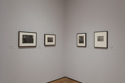 Installation photo, 4 of 34